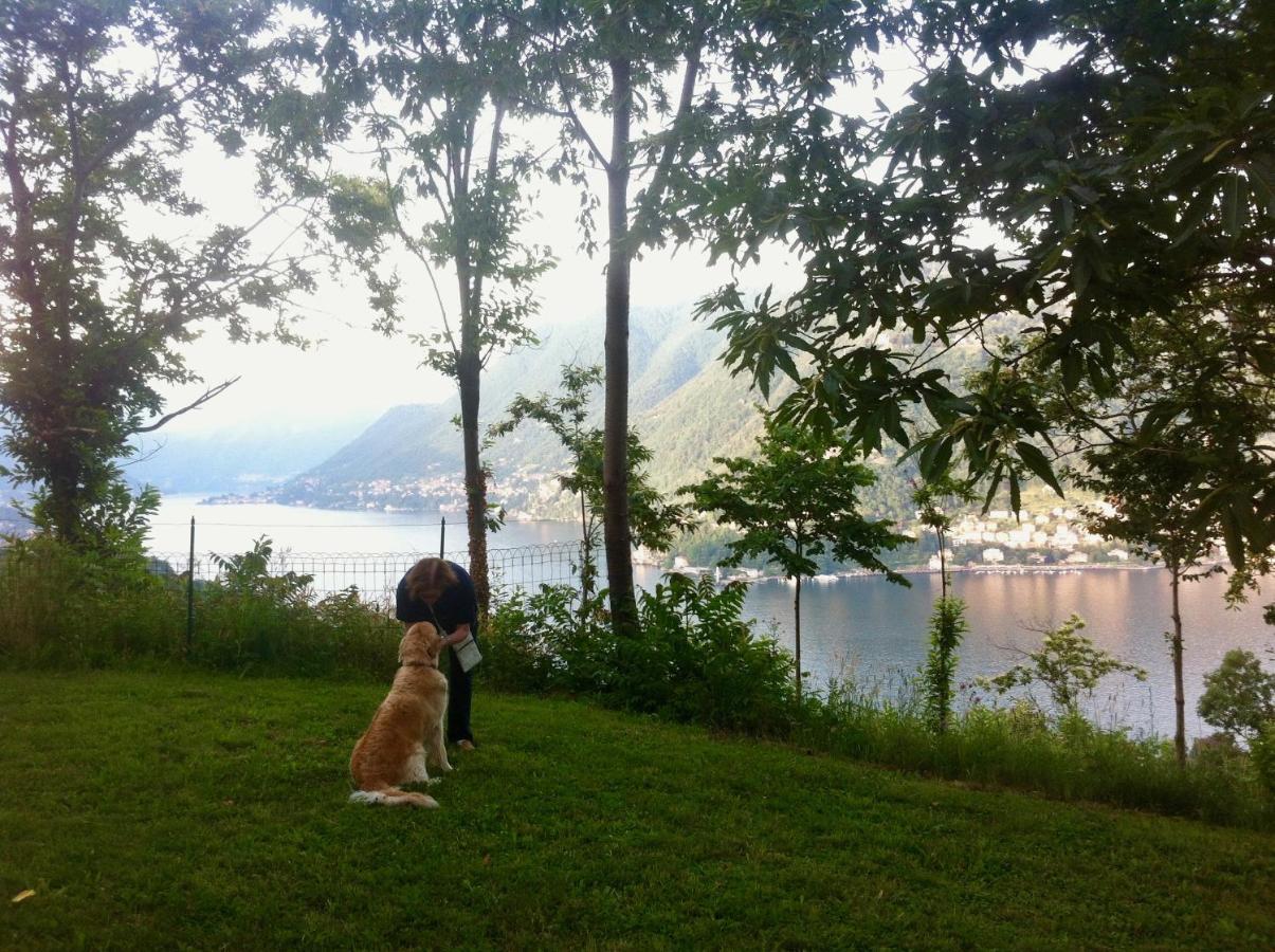 Villa Corti Lakeview Como Exteriér fotografie