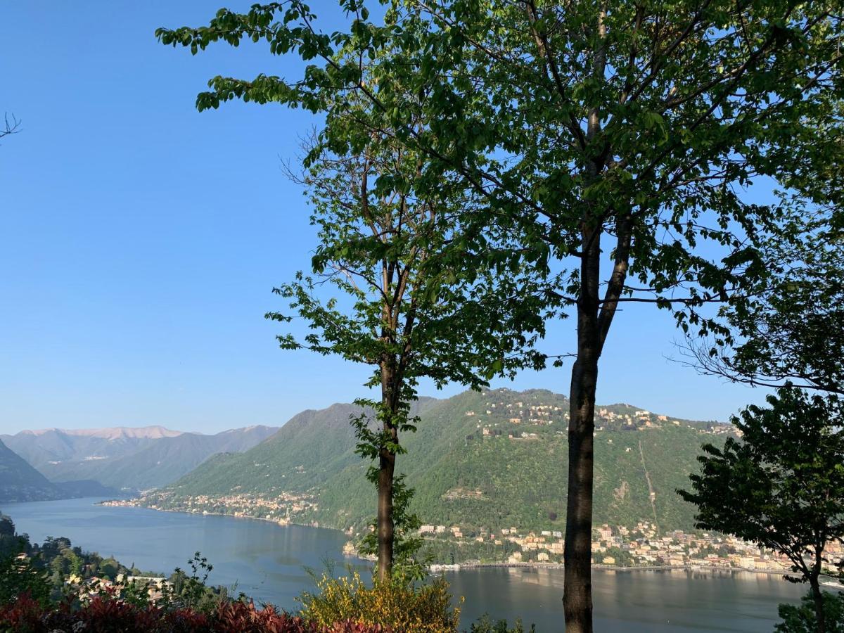 Villa Corti Lakeview Como Exteriér fotografie